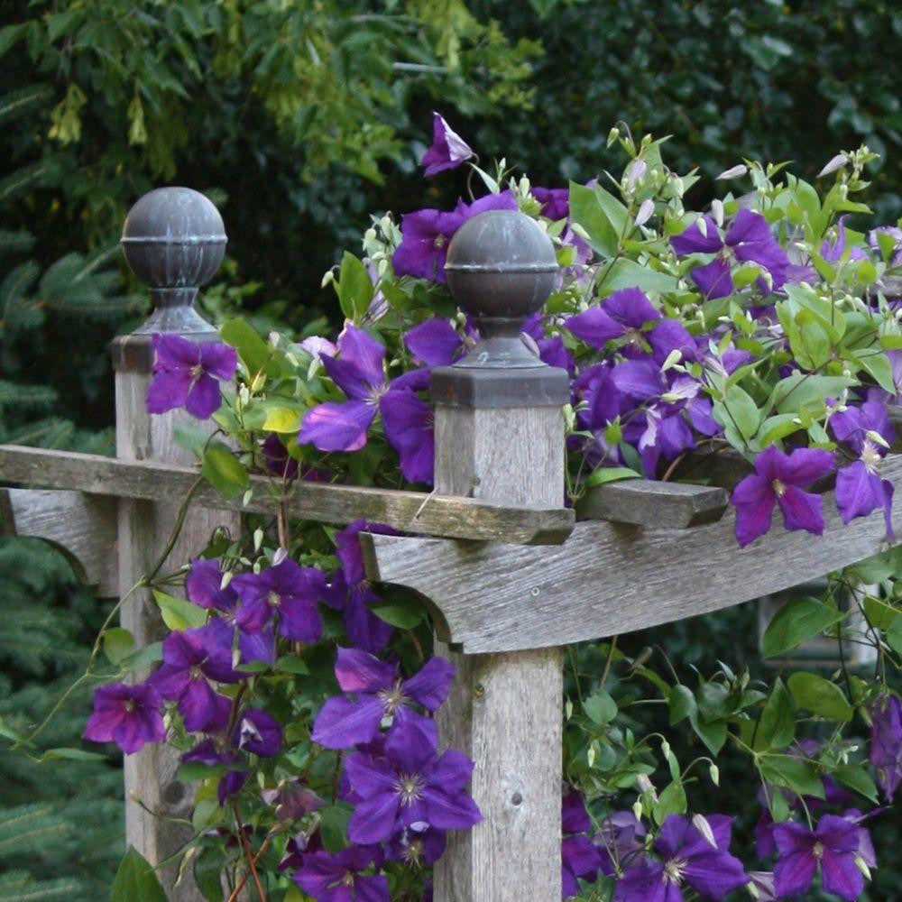 Fence Post Caps Provide Design, Protection and Reduce Maintenance on Fences